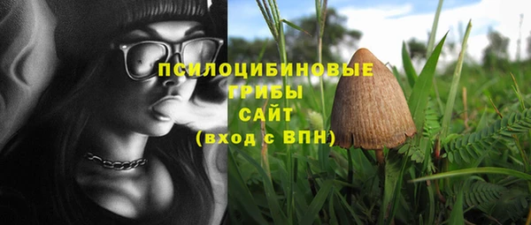 apvp Нефтегорск