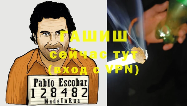 индика Алагир